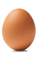 Picture of a chicken egg.