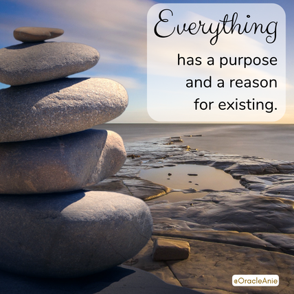Everything has a purpose and a reason for existing.